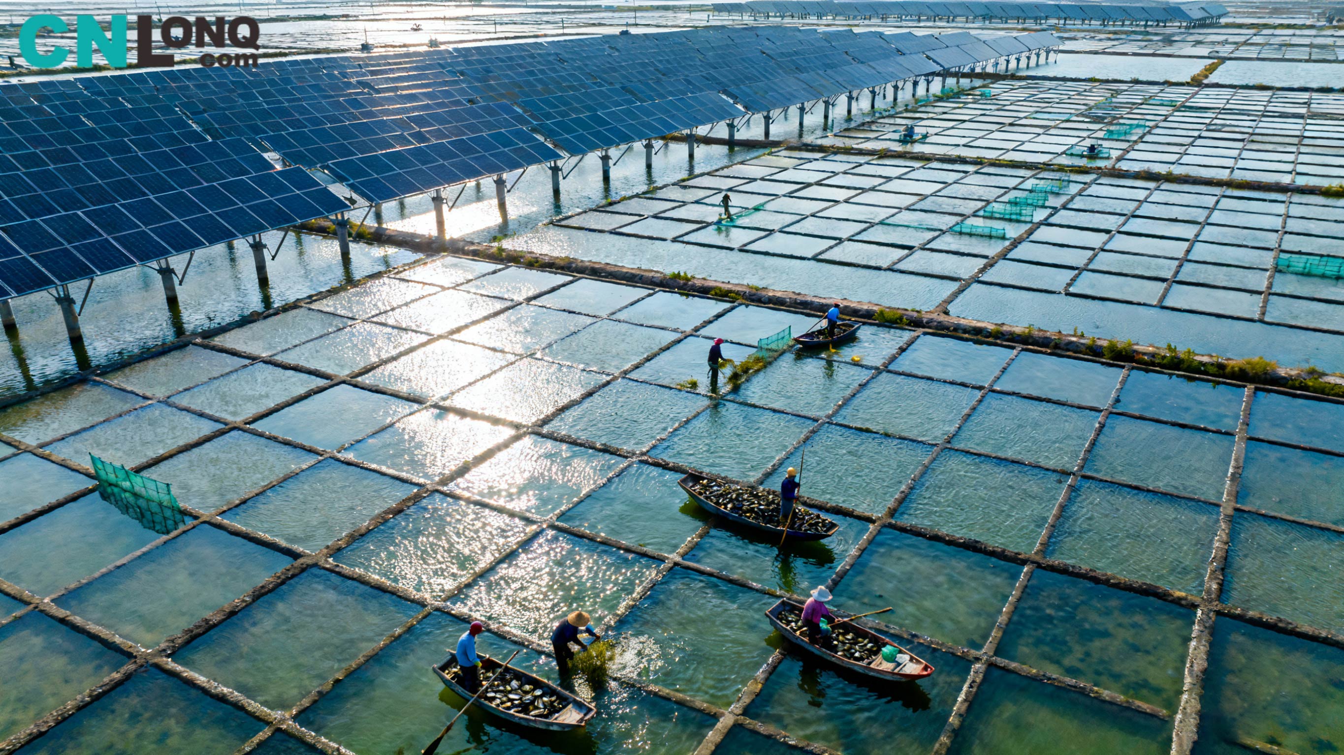 စုစုပေါင်းရင်းနှီးမြှုပ်နှံမှု RMB 1.2 ဘီလီယံ! Xindao Qingkou ဆား 100MW 